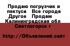 Продаю погрузчик и пектуса - Все города Другое » Продам   . Калининградская обл.,Светлогорск г.